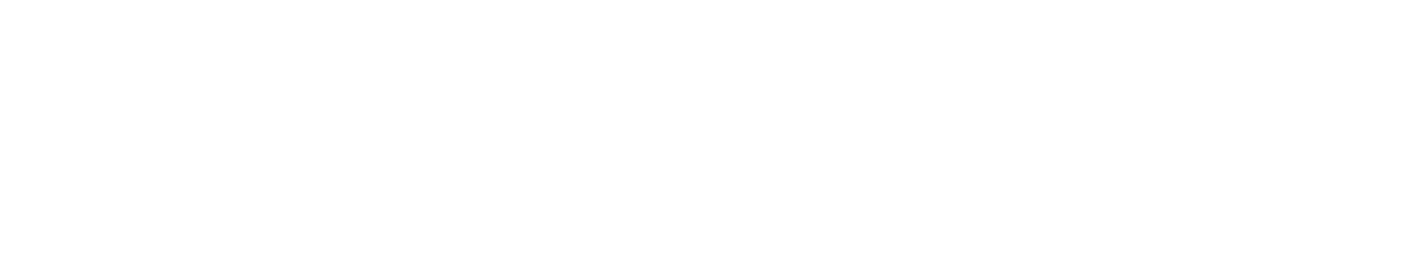 Flight Mobile wordmark